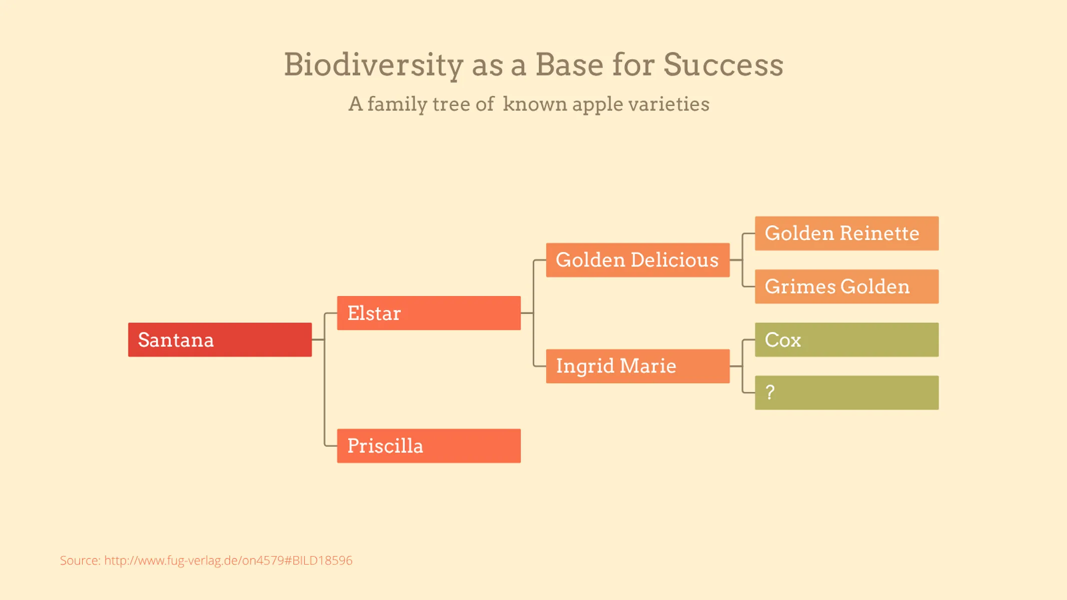 Organigramm-Beispiel: Biodiversity as a Base for Success