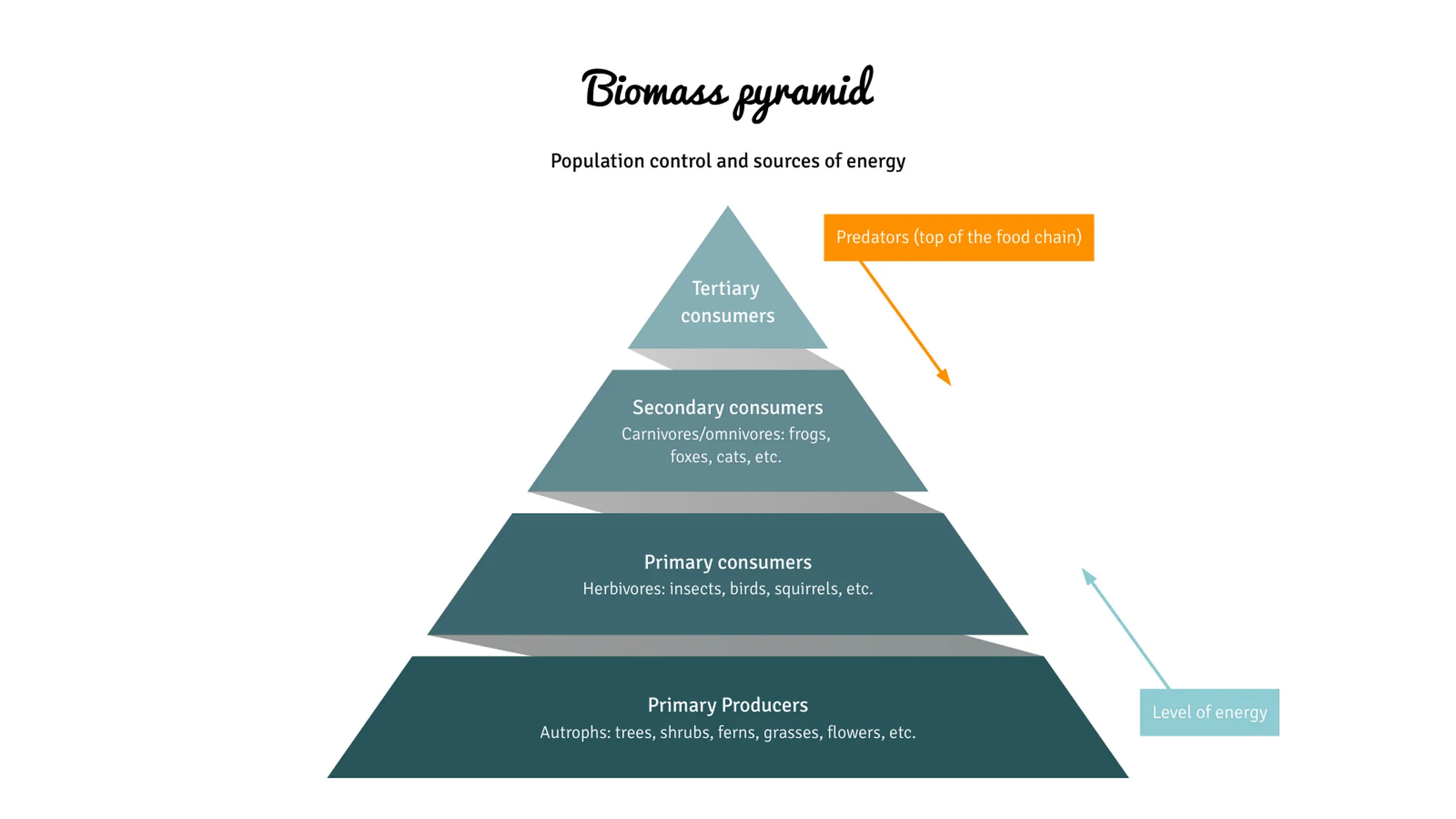 Pyramid Chart example: Biomass pyramid