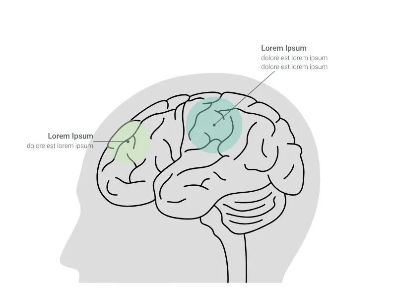 Brain Chart