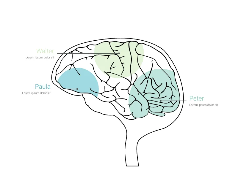 Human Body alternative: Brain Chart