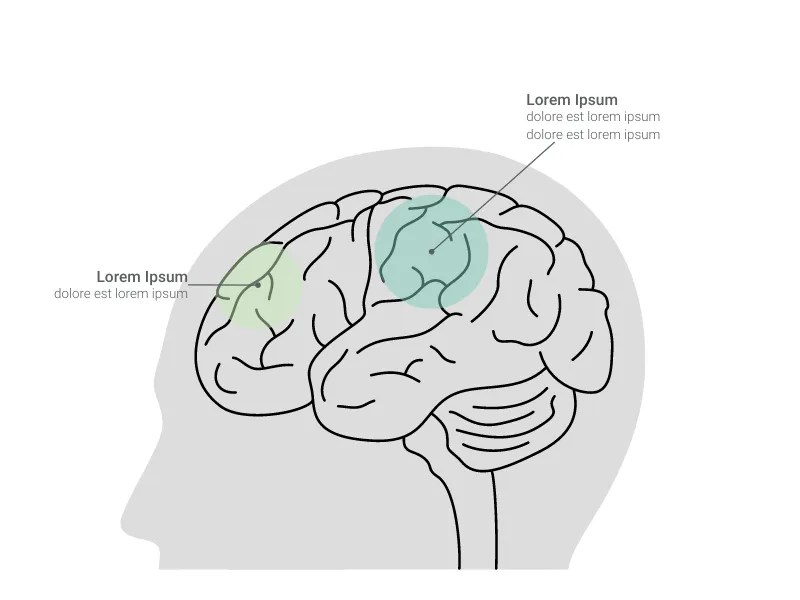 Brain Chart