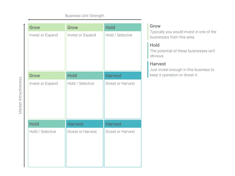 GE-McKinsey Matrix