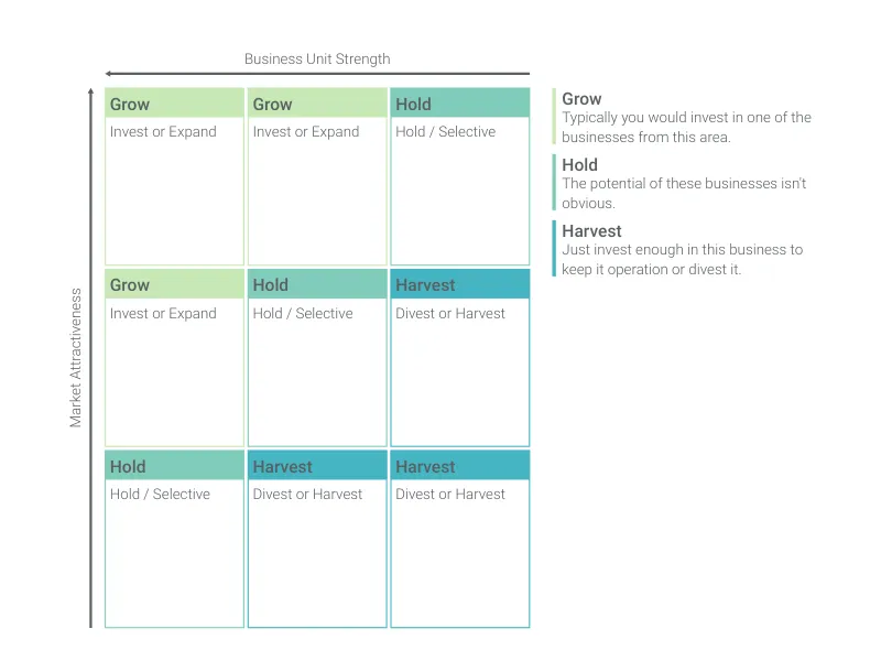 GE-McKinsey Matrix