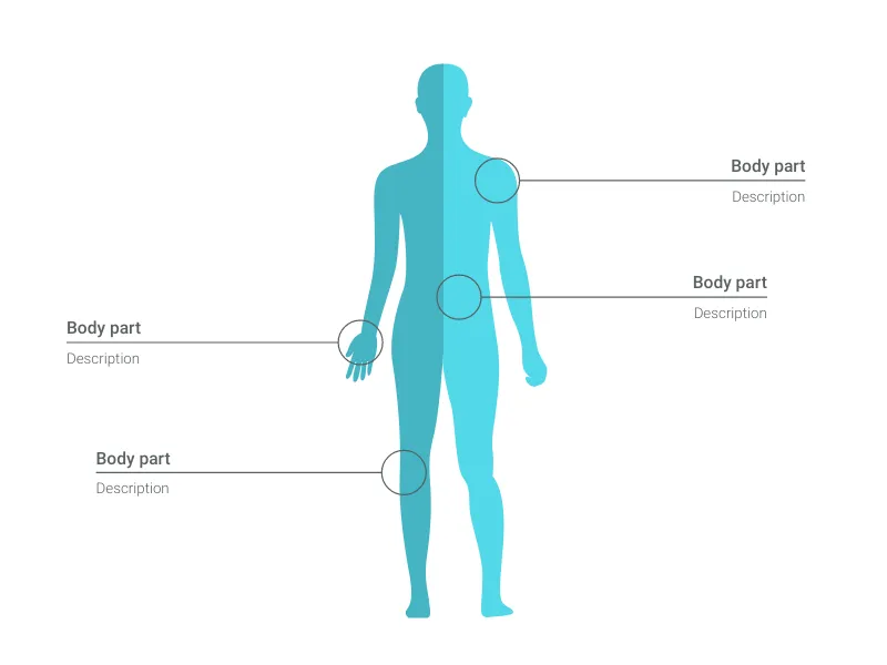 Brain Chart alternative: Human Body