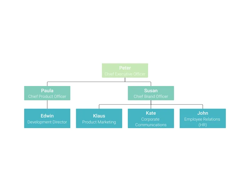 Balanced Scorecard alternative: Organizational Chart