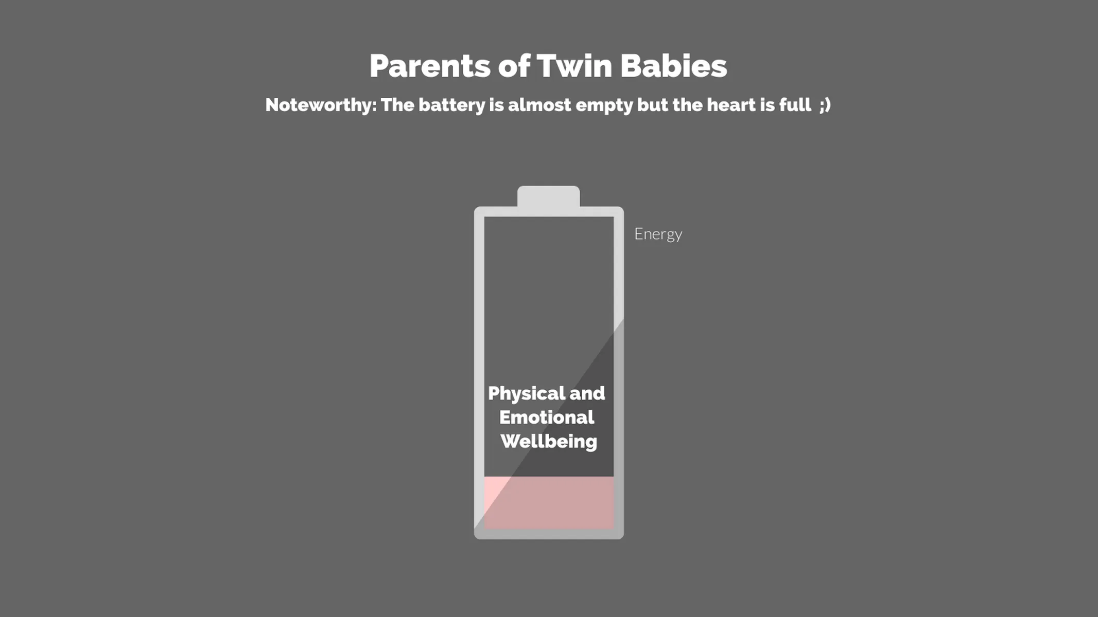Batterie­diagramm-Beispiel: Parents of Twin Babies