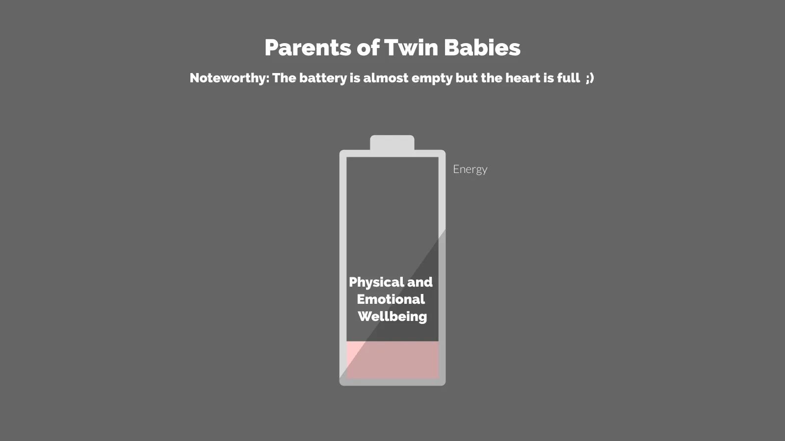 Battery Chart example: Parents of Twin Babies