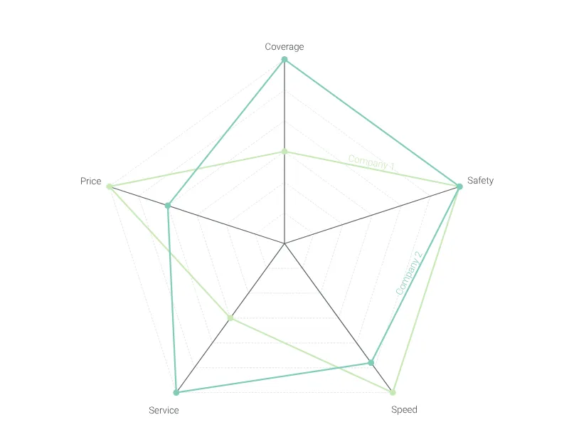 Netz­diagramm