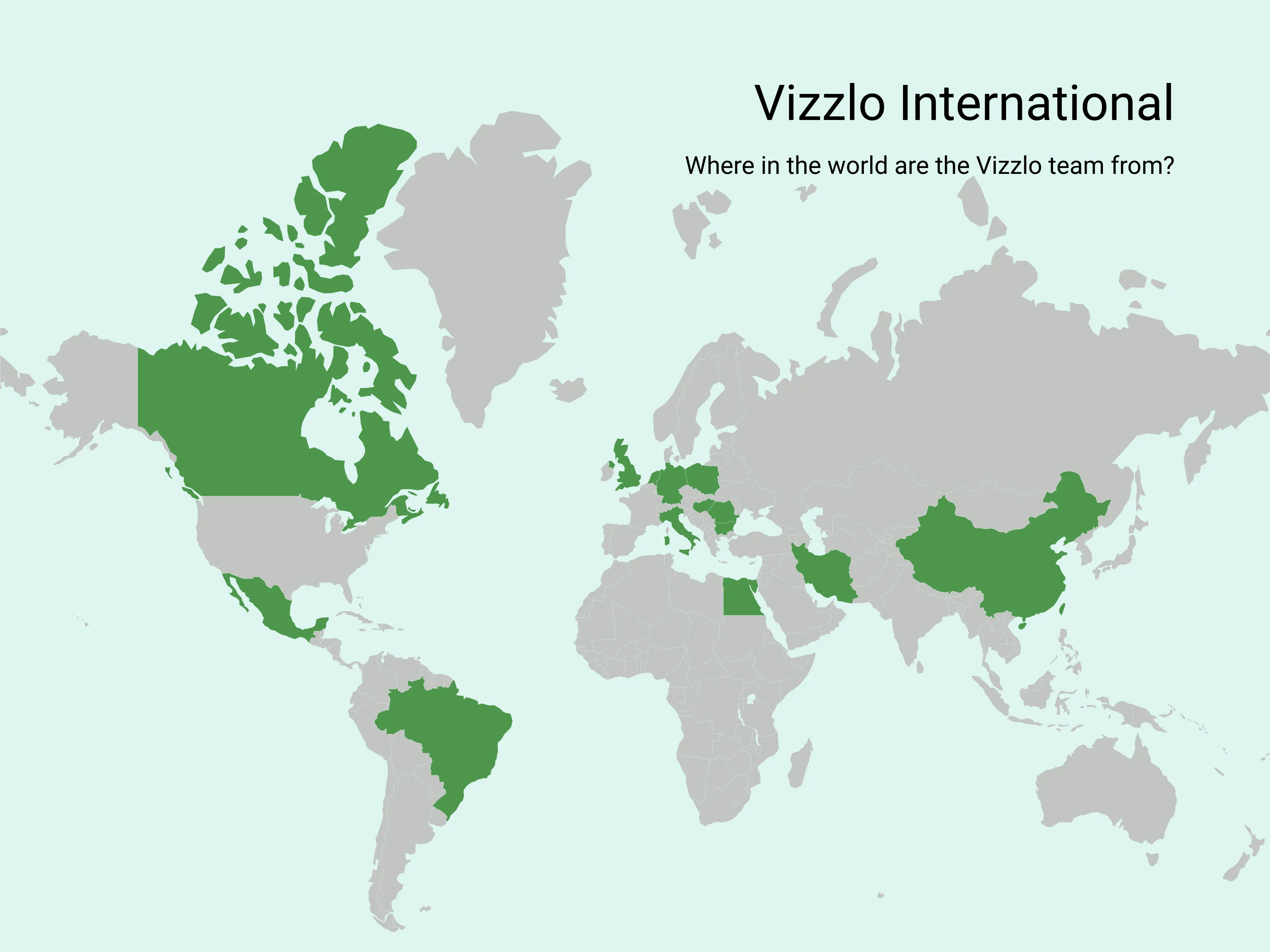 Vizzlo International