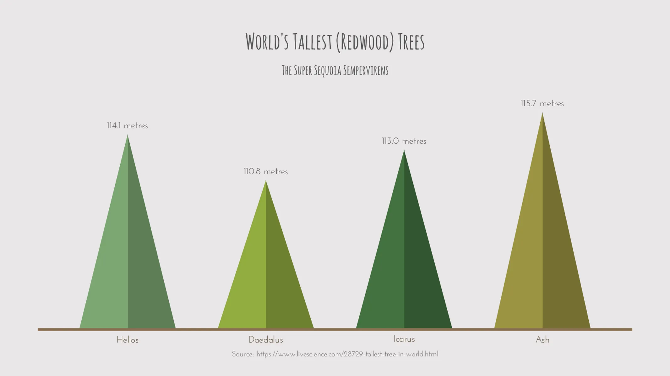 Dreieck-Balken­diagramm-Beispiel: World's Tallest (Redwood) Trees