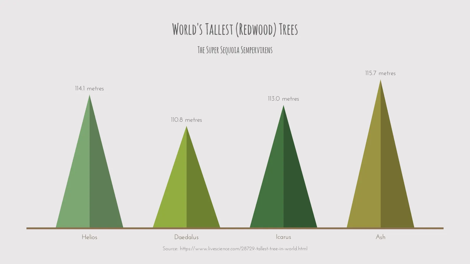 Triangle Bar Chart example: World's Tallest (Redwood) Trees
