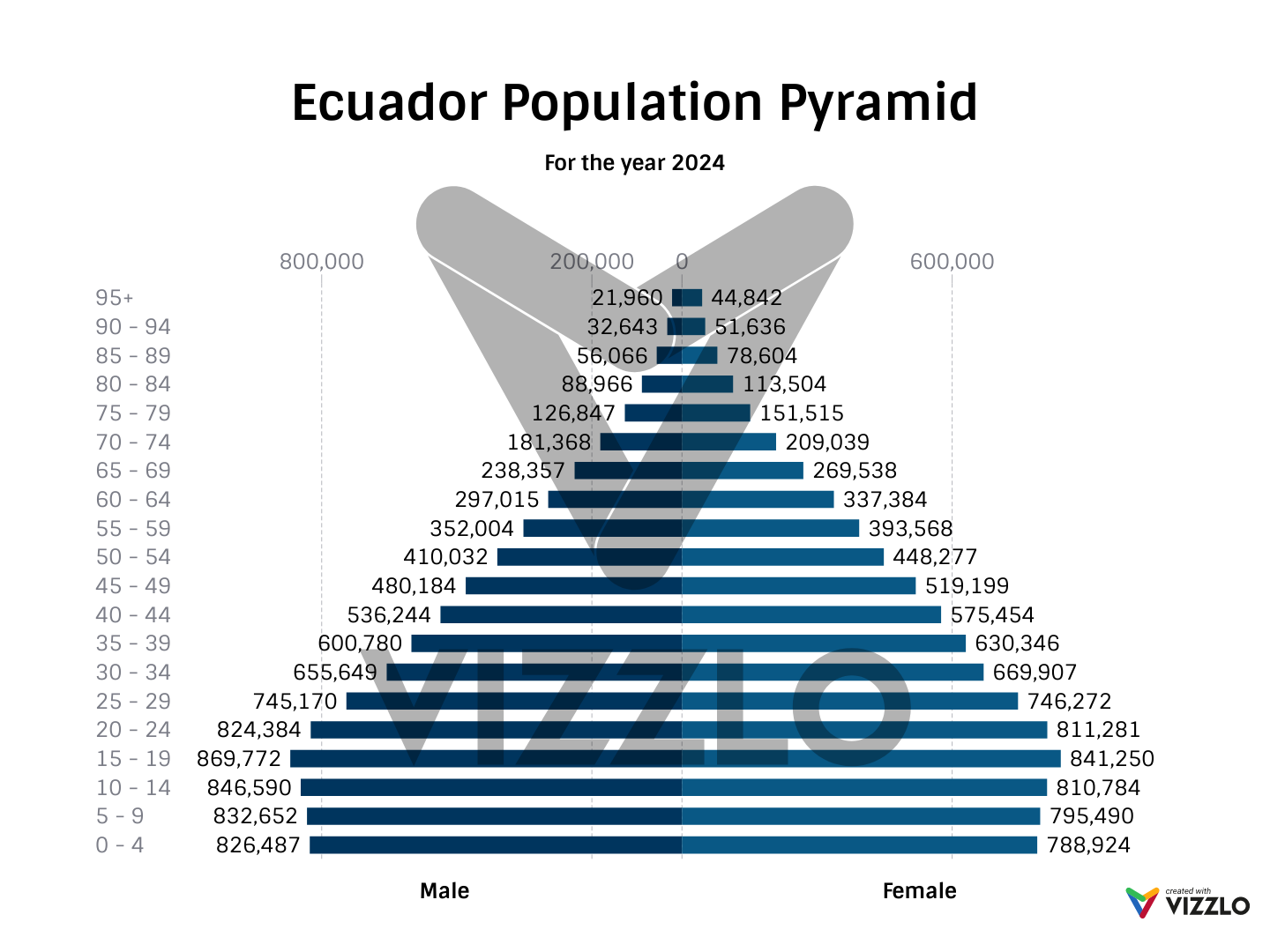 Ecuador Population Pyramid — Vizzlo