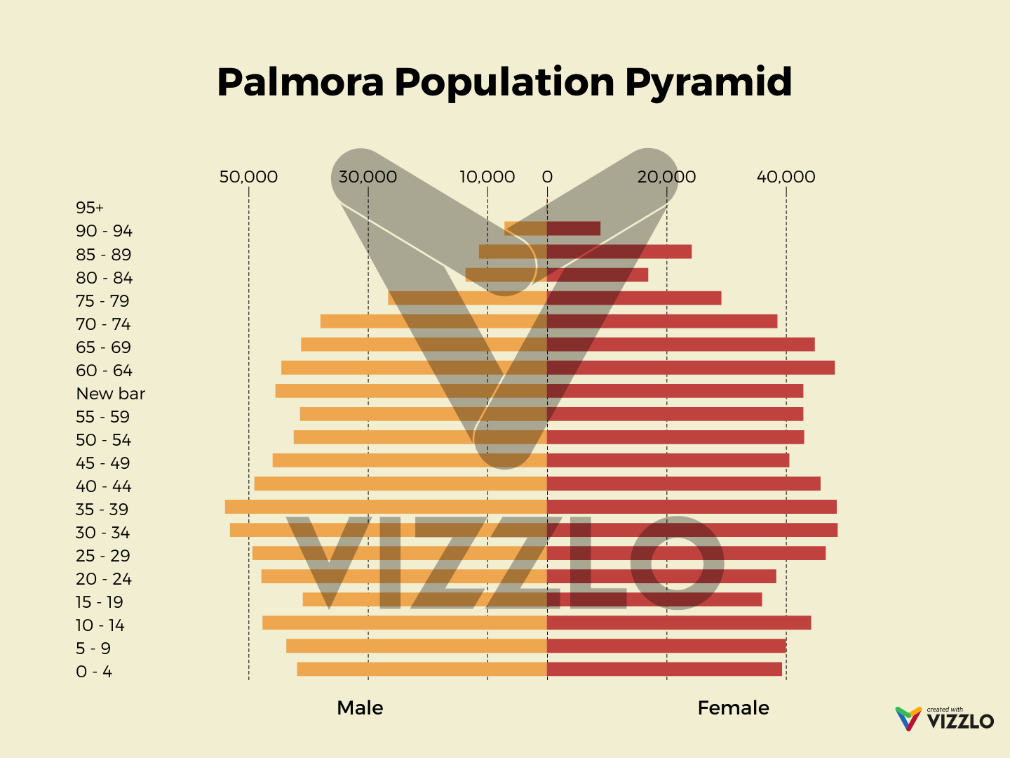 Palmora Population Pyramid — Vizzlo