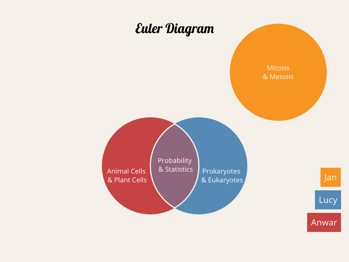 a euler diagram relating the work of Lucy, Anwar and Jans