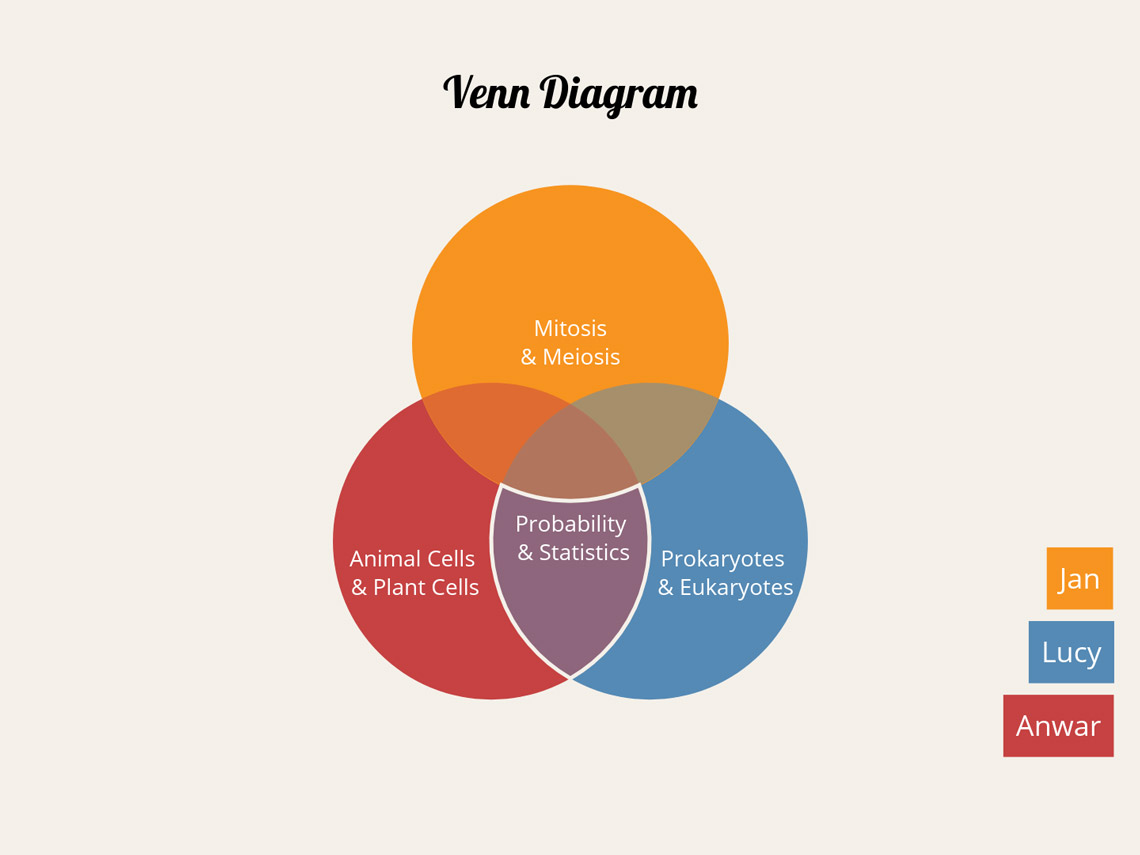 a venn diagram relating the work of Lucy, Anwar and Jans